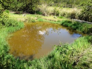 chacara com lago em tatui a venda condominio ecopark