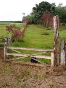sitio a venda sao miguel arcanjo