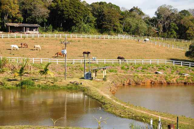 Haras em Piedade à Venda