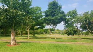 terreno cesario lange para vender condominio jatoba ii