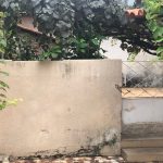 casas em tatui venda