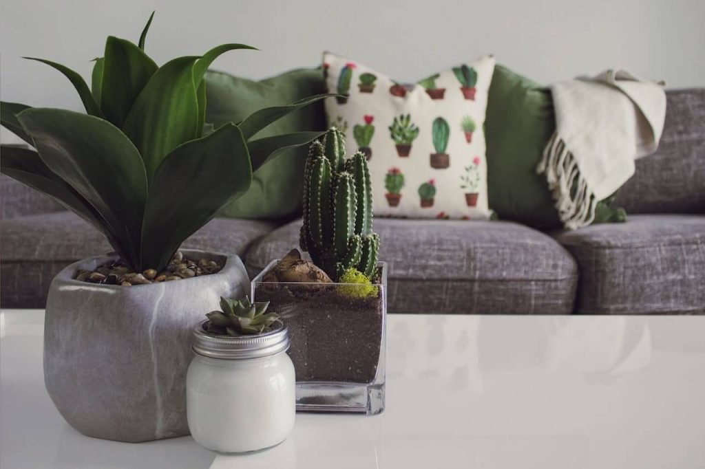 home staging significado